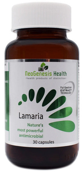 NeoGenesis Lamaria 60s